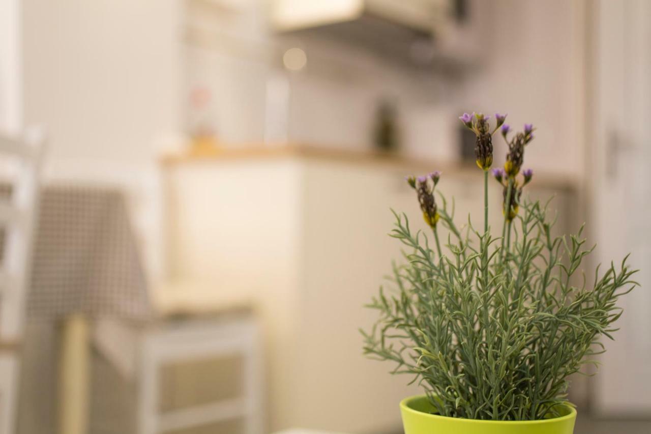 Casa Vecchia Apartment Rovinj
